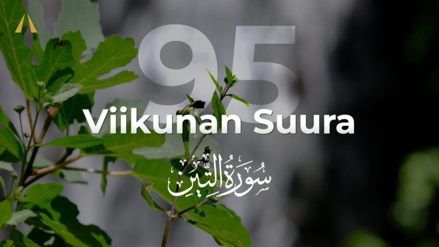 Viikunan suura | At-Tin